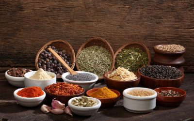 Nepalese Indian Cuisine Himalayan kitchen